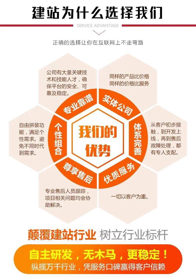 企业官网定制:选择专业还是自行开发